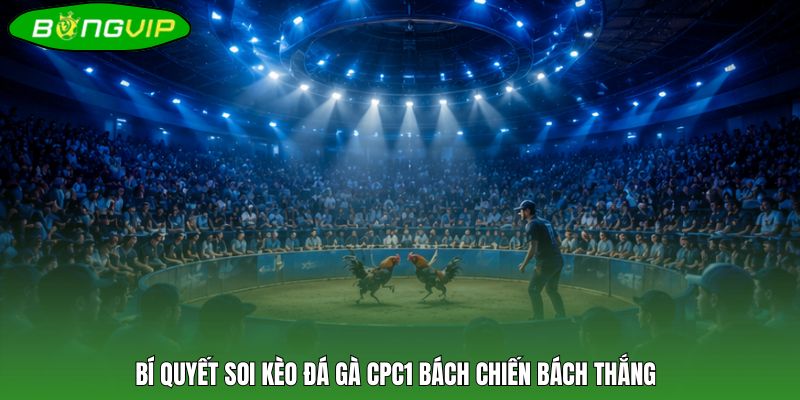 Bí quyết soi kèo đá gà CPC1 bách chiến bách thắng