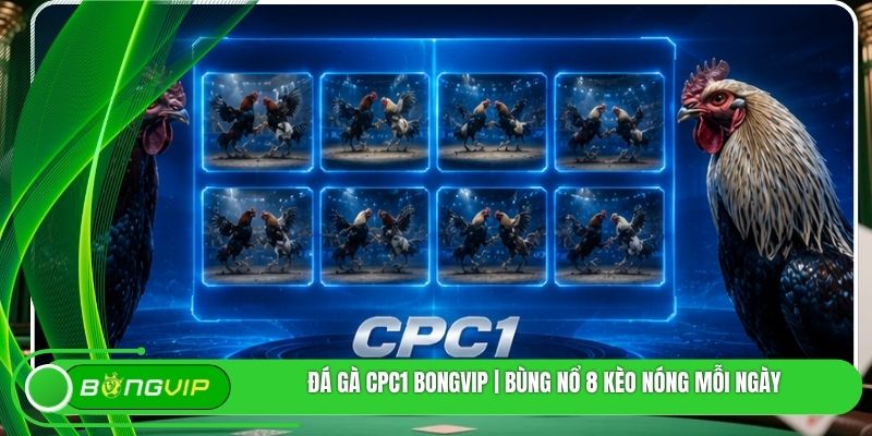 Đá Gà CPC1 BONGVIP | Bùng Nổ 8 Kèo Nóng Mỗi Ngày