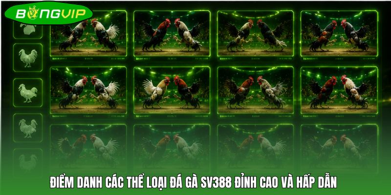Điểm danh các thể loại đá gà SV388 đỉnh cao và hấp dẫn