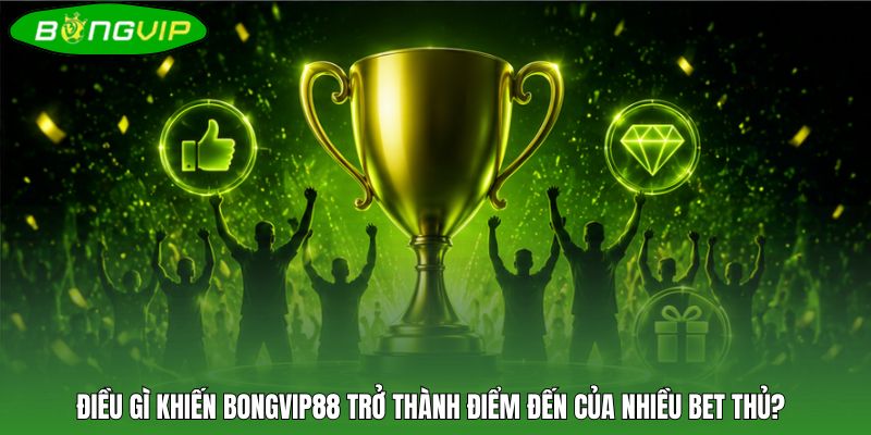 Điều gì khiến Bongvip88 trở thành điểm đến của nhiều bet thủ?