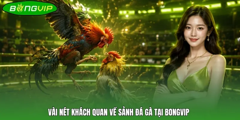 Vài nét khách quan về sảnh đá gà tại Bongvip
