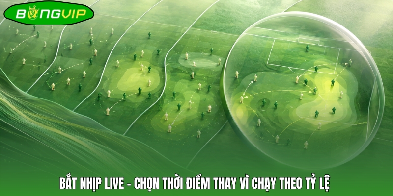 Bắt nhịp live – Chọn thời điểm thay vì chạy theo tỷ lệ