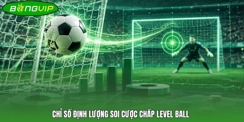 Chỉ số định lượng soi cược chấp level ball