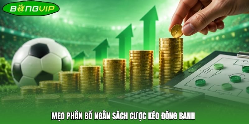 Mẹo phân bổ ngân sách cược kèo đồng banh