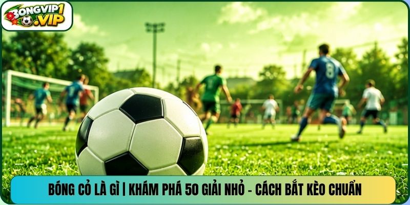 Bóng Cỏ Là Gì | Khám Phá 50 Giải Nhỏ – Cách Bắt Kèo Chuẩn