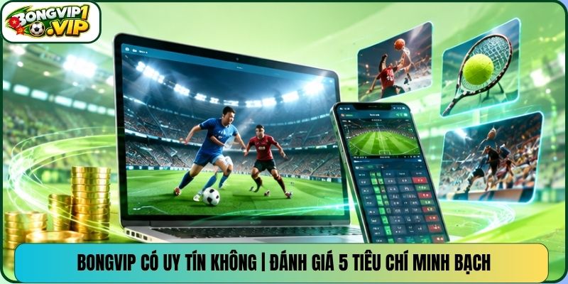 Bongvip Có Uy Tín Không | Đánh Giá 5 Tiêu Chí Minh Bạch