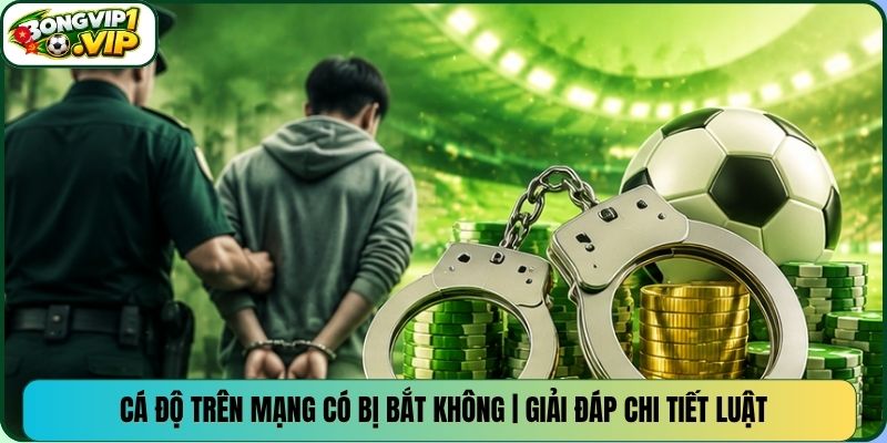 Cá Độ Trên Mạng Có Bị Bắt Không | Giải Đáp Chi Tiết Luật