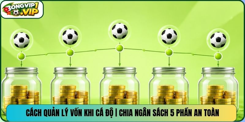 Cách Quản Lý Vốn Khi Cá Độ | Chia Ngân Sách 5 Phần An Toàn