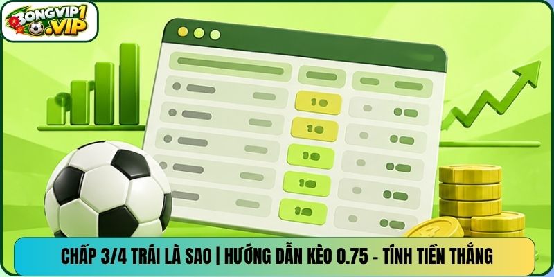 Chấp 3/4 Trái Là Sao | Hướng Dẫn Kèo 0.75 - Tính Tiền Thắng