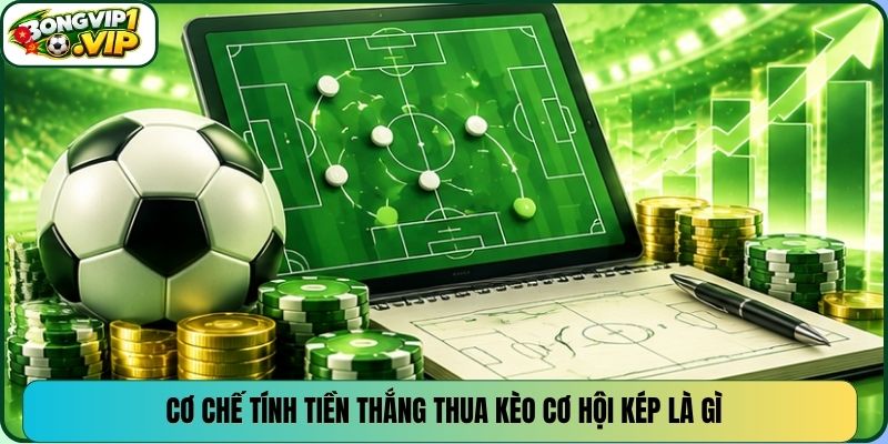 Cơ chế tính tiền thắng thua kèo cơ hội kép là gì