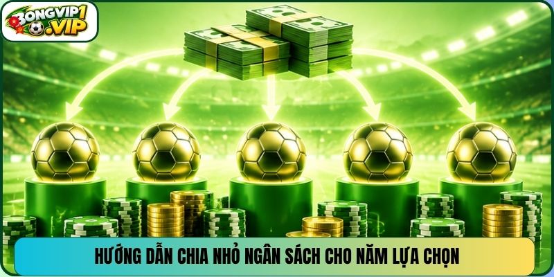 Hướng dẫn chia nhỏ ngân sách cho năm lựa chọn