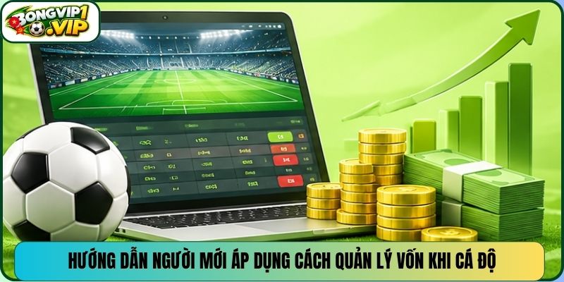 Hướng dẫn người mới áp dụng cách quản lý vốn khi cá độ