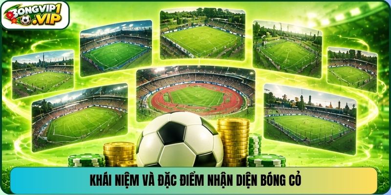 Khái niệm và đặc điểm nhận diện bóng cỏ
