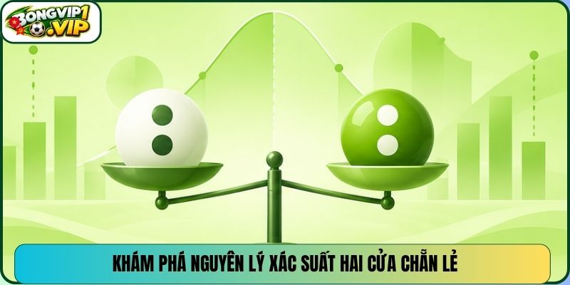 Khám phá nguyên lý xác suất hai cửa chẵn lẻ