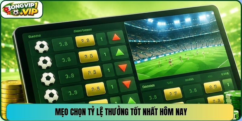 Mẹo chọn tỷ lệ thưởng tốt nhất hôm nay