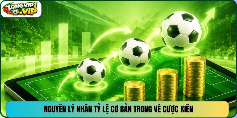 Nguyên lý nhân tỷ lệ cơ bản trong vé cược xiên